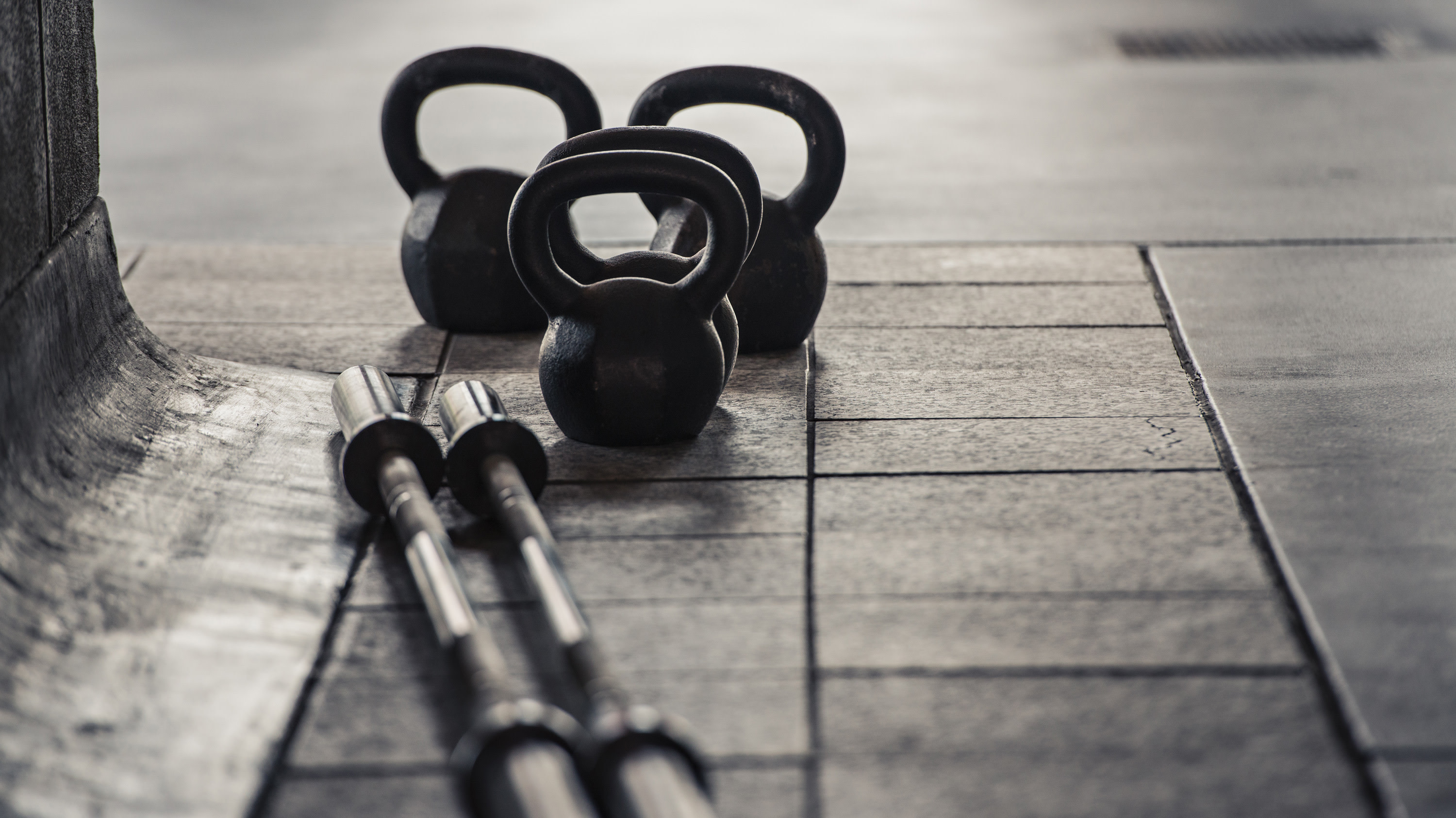 Bonobo Gym 