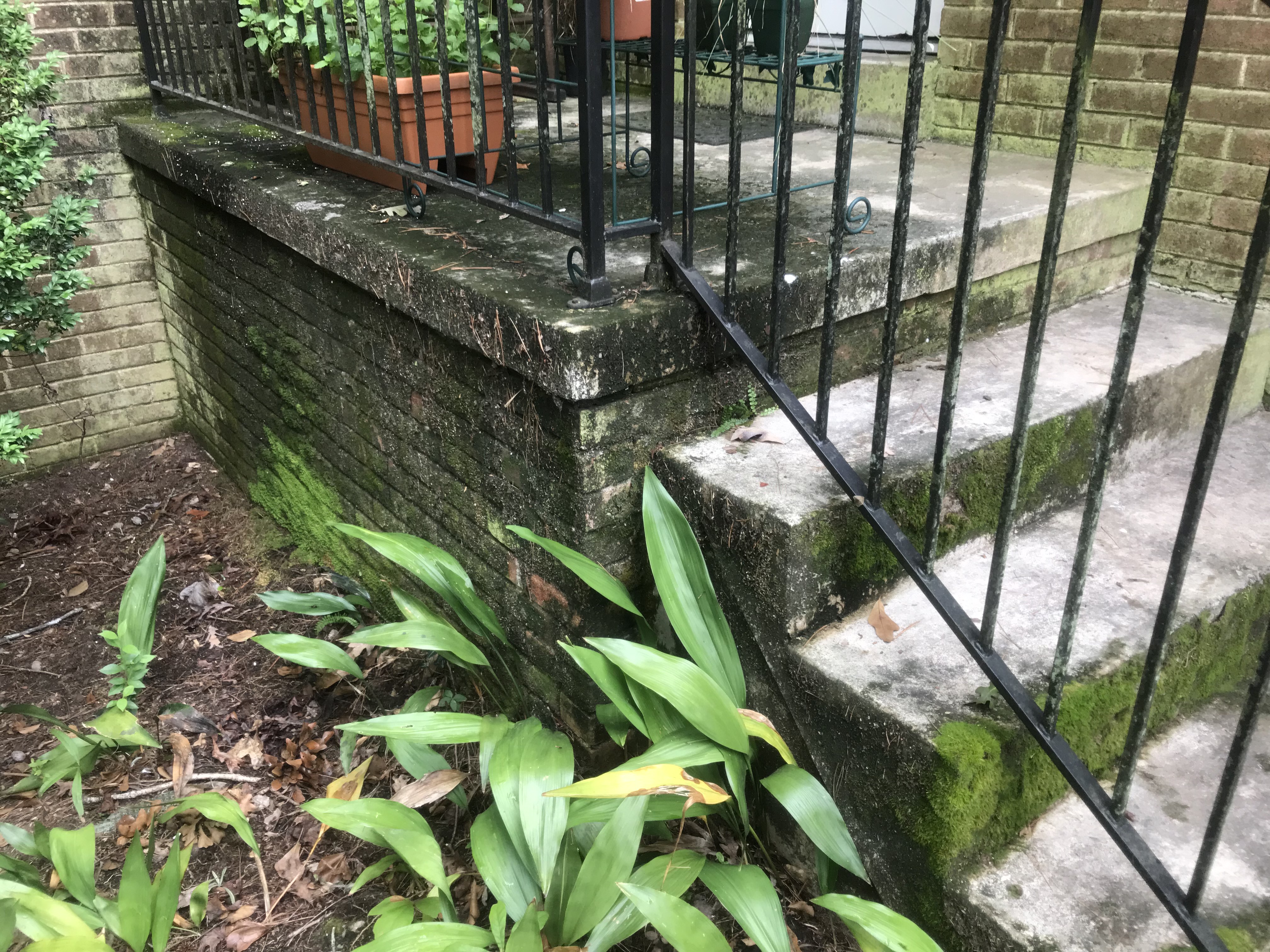 Stairs before cleaning