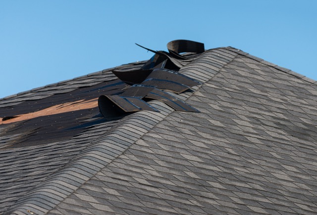 Premium asphalt shingles