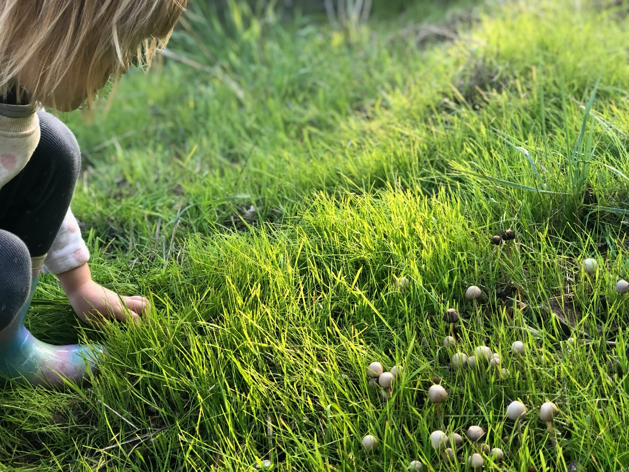 Child crouching in green grass next to a cluster of small mushrooms, wearing dark pants and colorful boots.