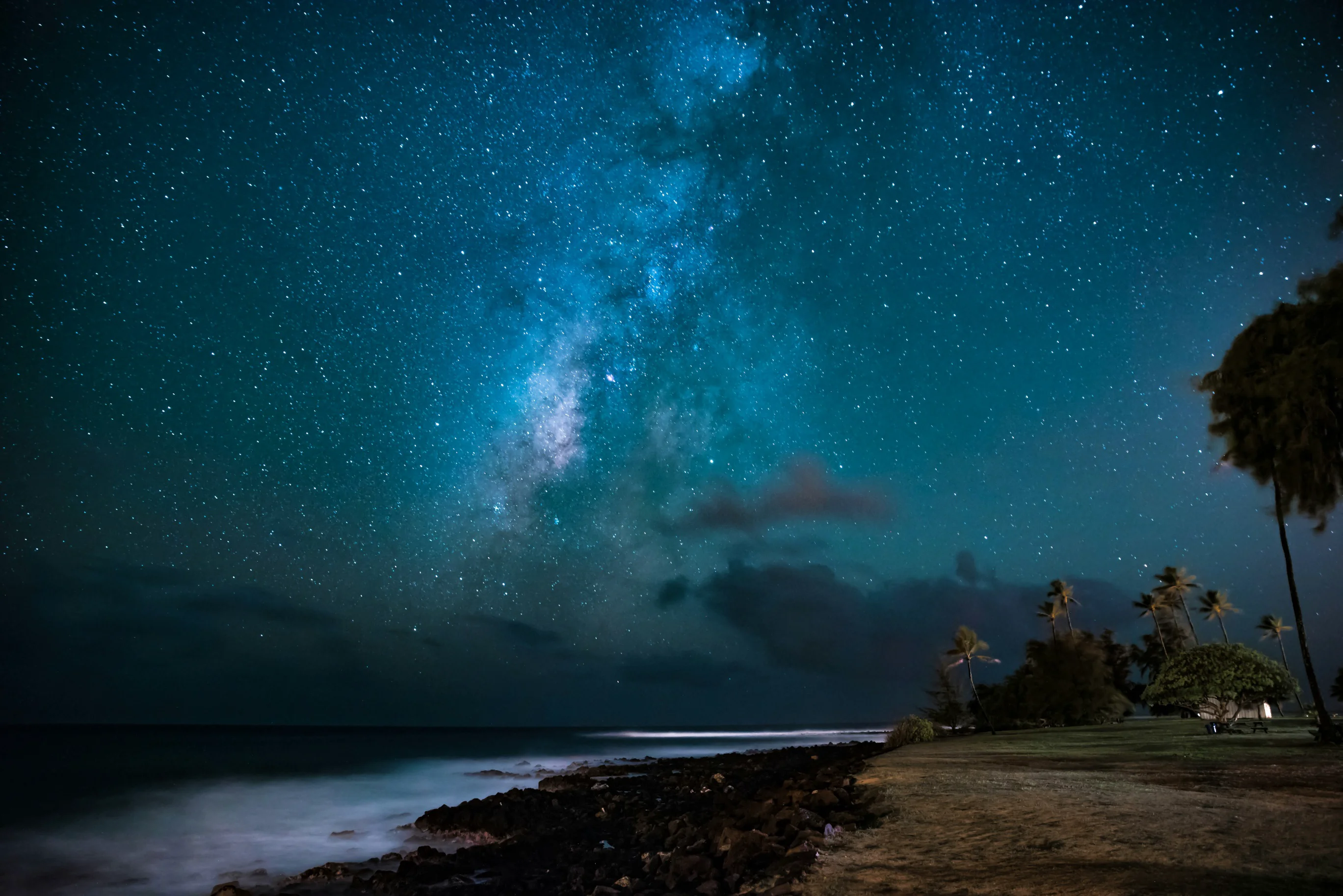 Starry night sky with the Milky Way over a rocky shore and palm trees.