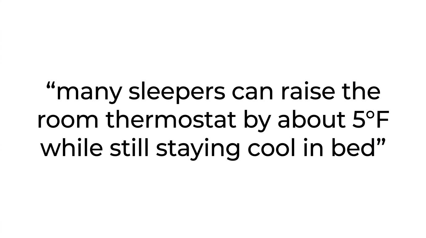 Large highlighted quote stating that bFan uses targeted under-sheet airflow and may let sleepers raise the room thermostat by about 5°F while staying cool.