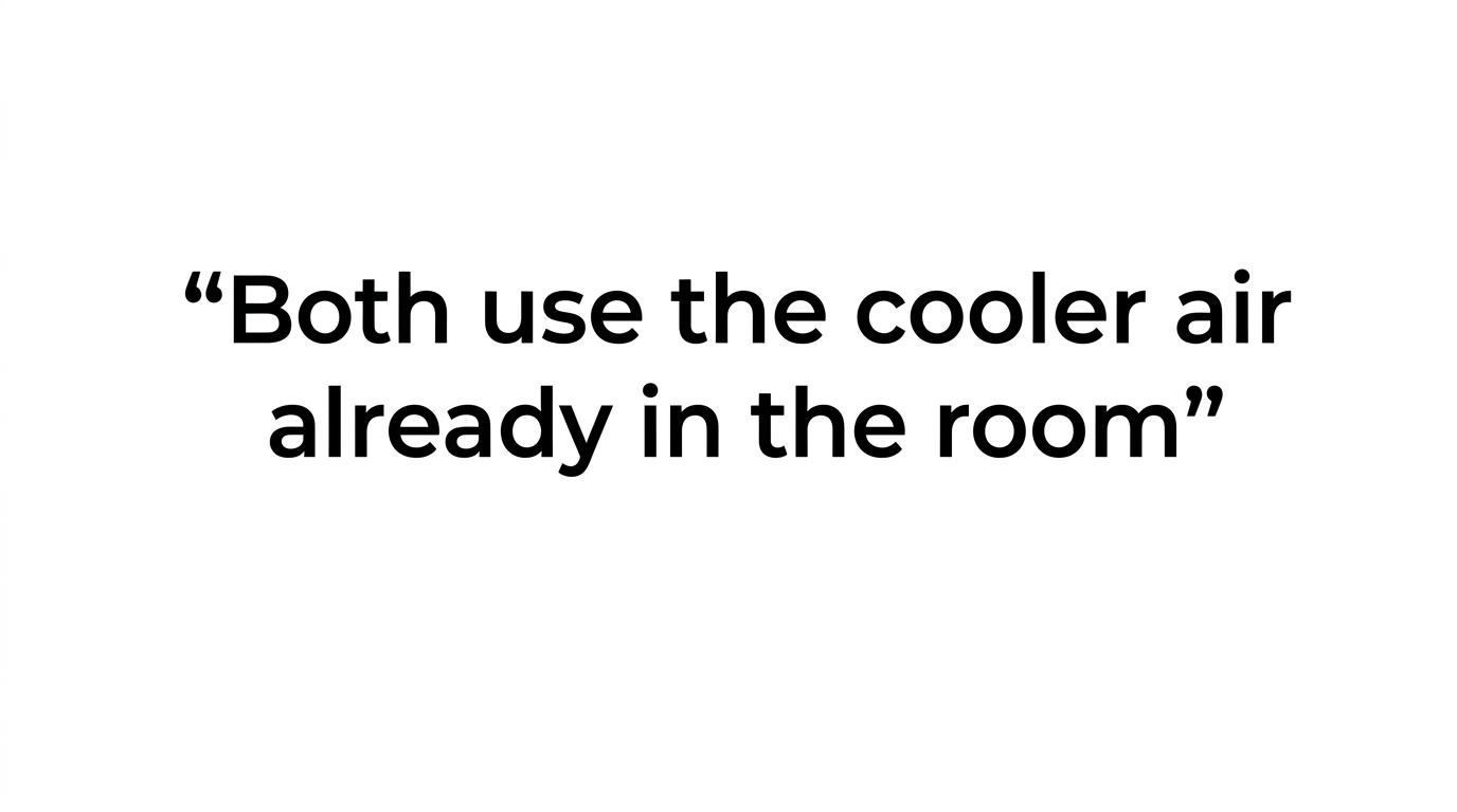 Highlighted quote card with the line that neither bFan nor Bedjet cools the air itself.