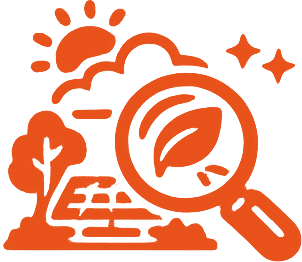 Evaluate Your Environment