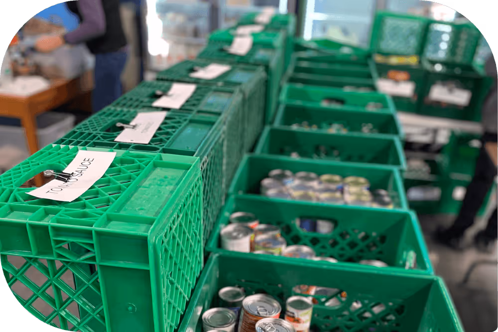 Donated food in green bins.