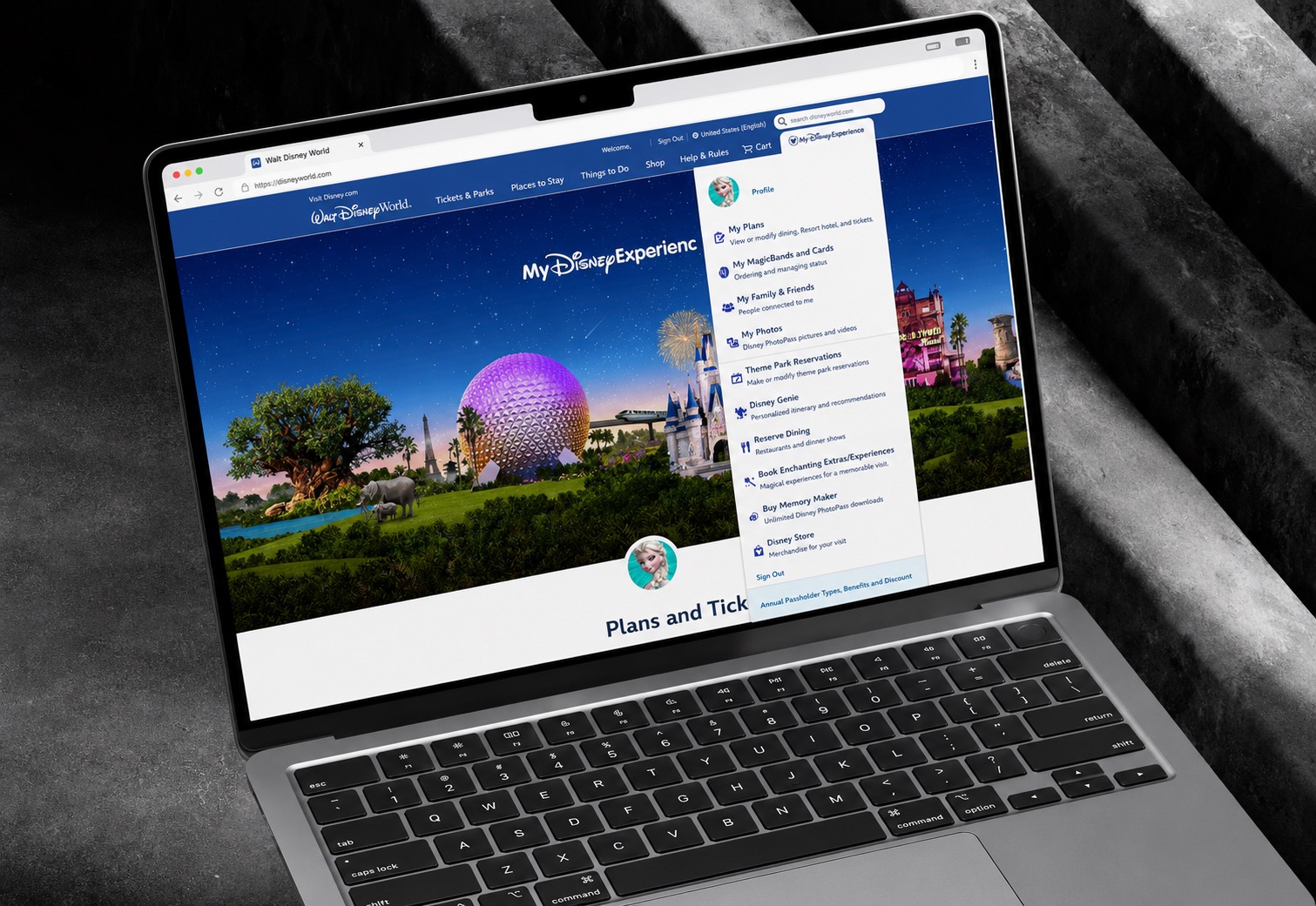 Walt Disney World cart and checkout product mockup