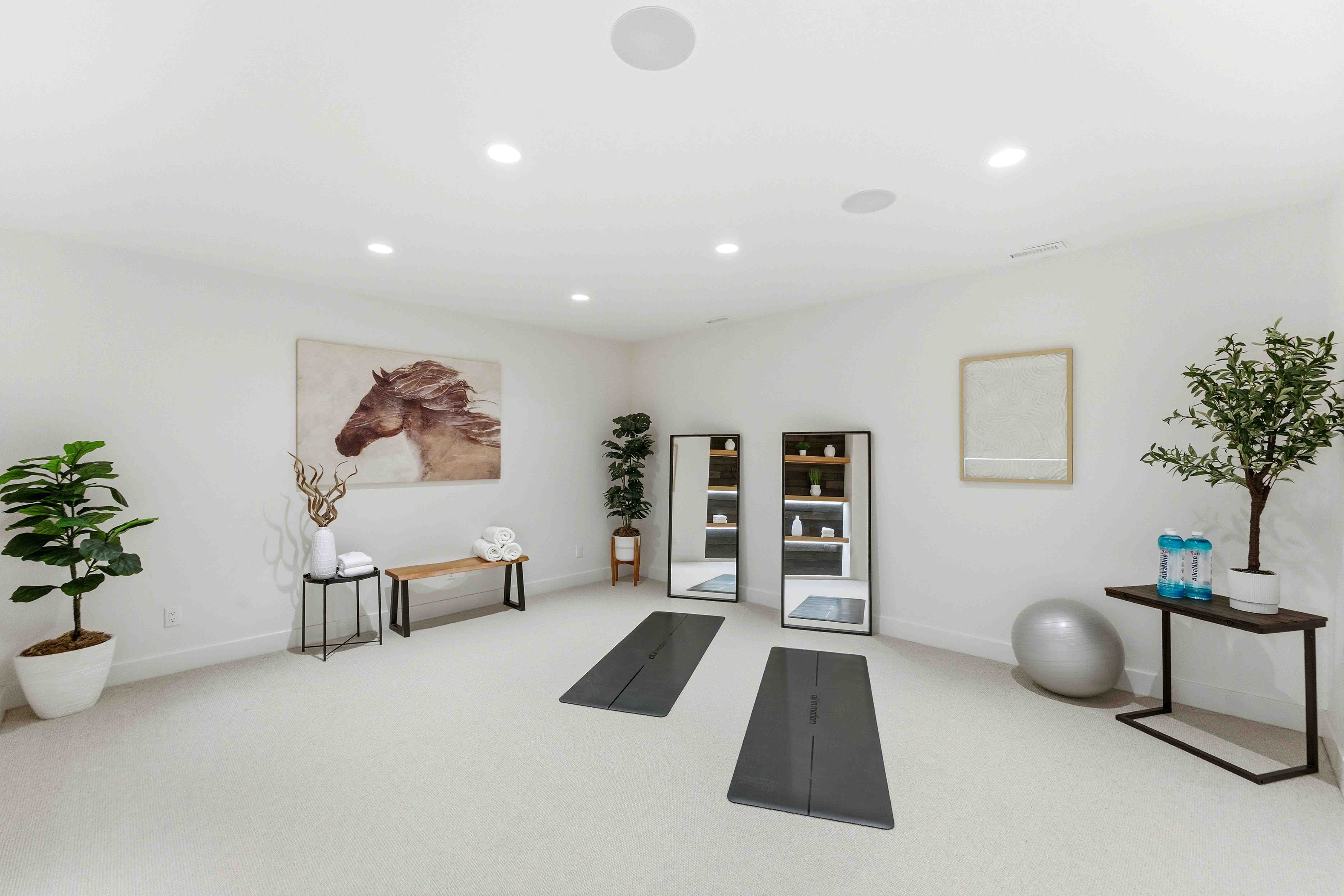 Bright home gym with two black yoga mats, two mirrors, plants, bench, exercise ball, and artwork.