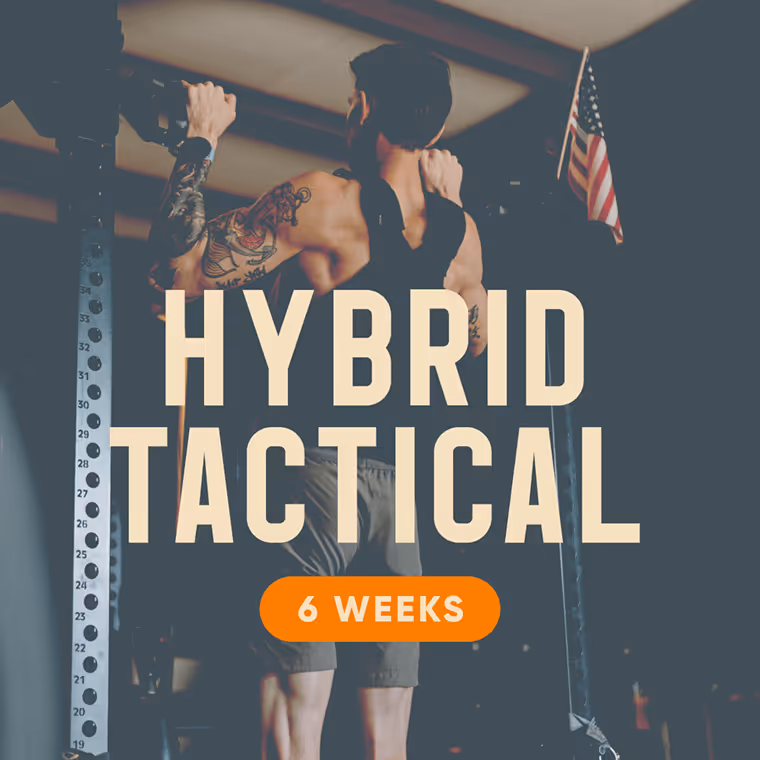Hybrid Tactical Program Cover