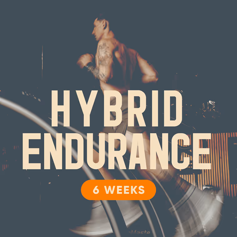 Hybrid Endurance Program Cover