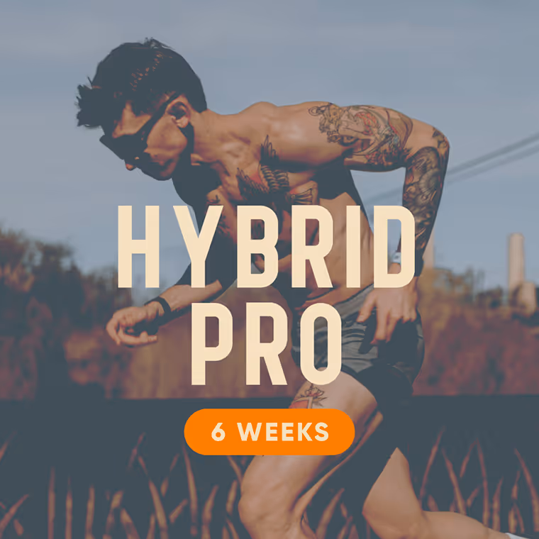 Hybrid Pro Program Cover