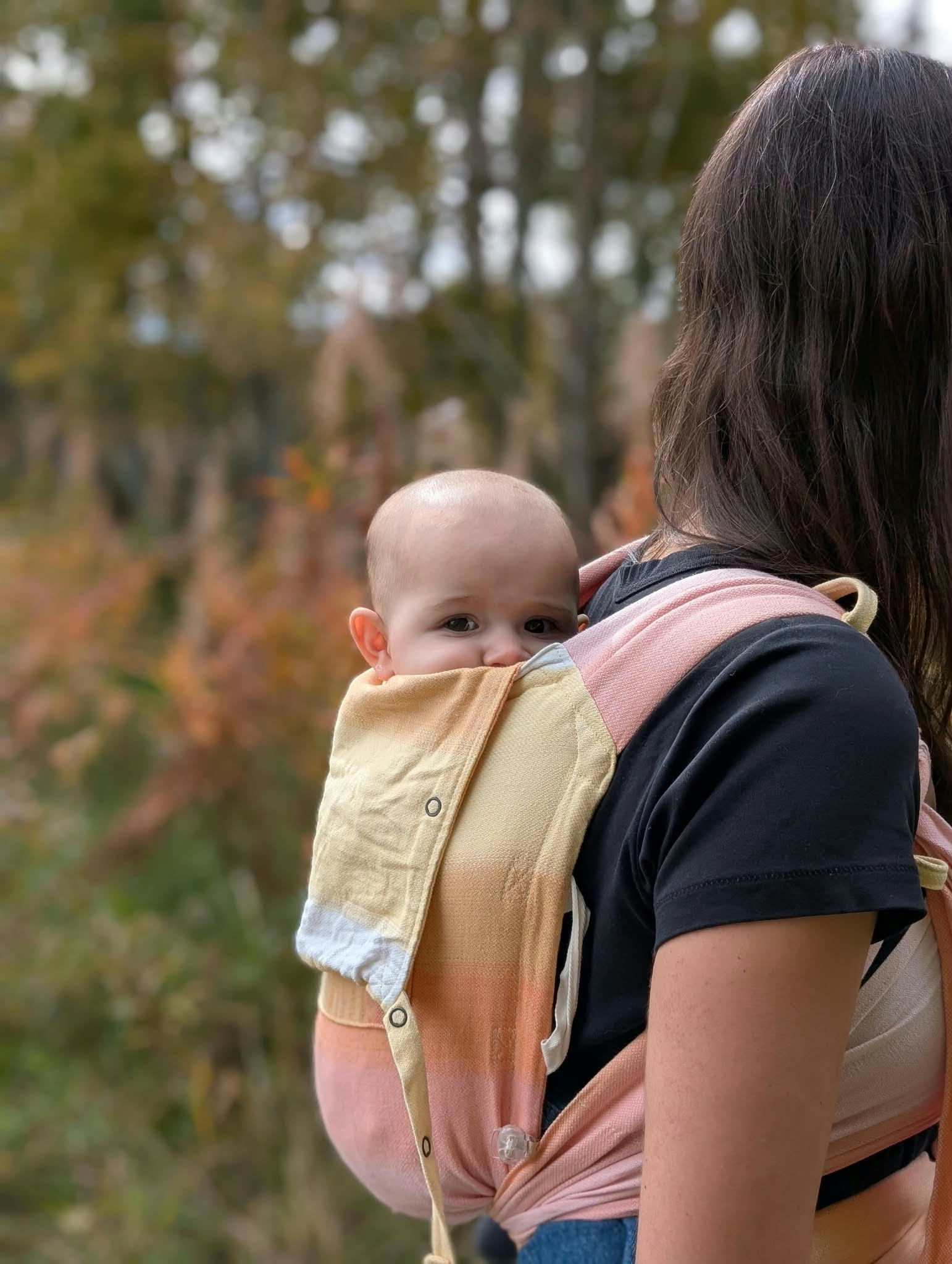 Bébé porté au dos dans un porte-bébé, à l’extérieur en automne