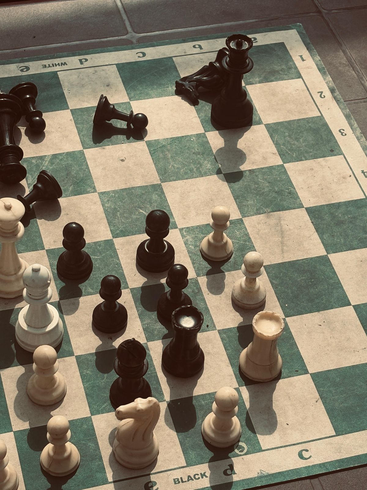 Play Chess