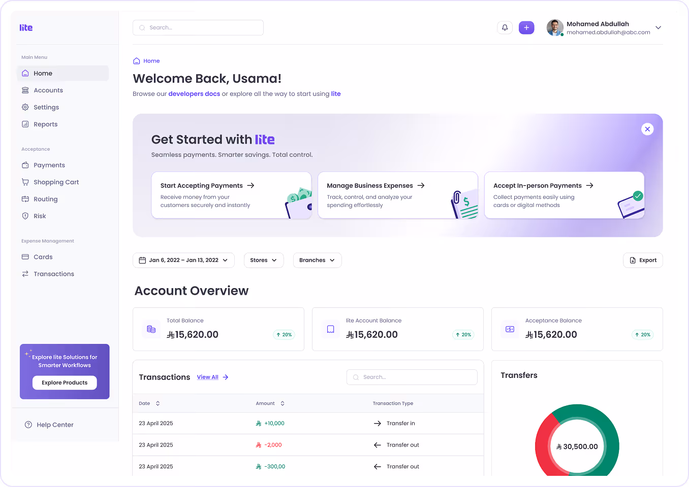 Dashboard interface showing account overview with total balance, transactions, and a transfers donut chart in a financial app.