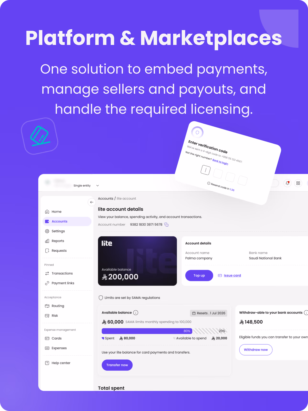 Dashboard showing payment management with account details, spending graph, and transaction list.