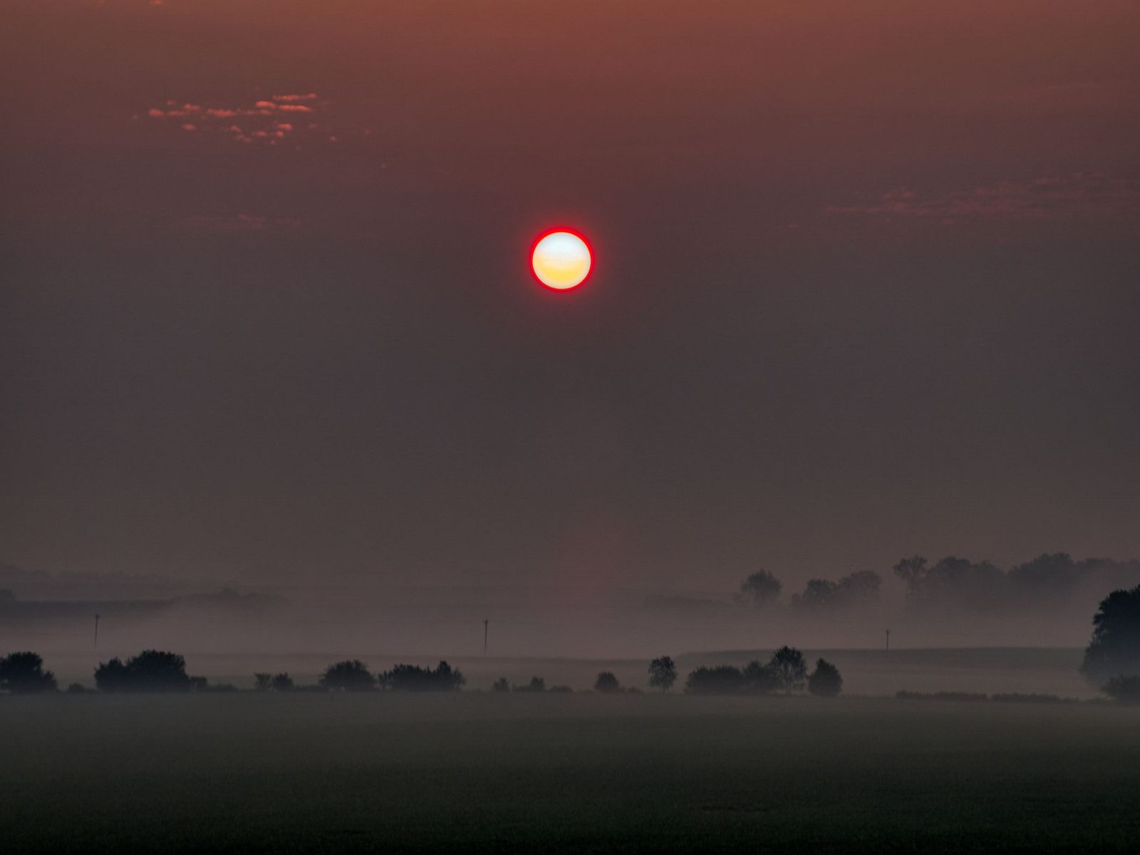 Sunrise over foggy Midwest farmland