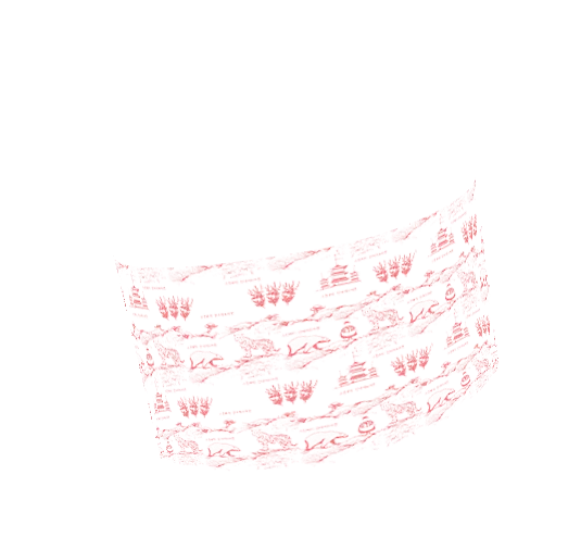 Three-dimensional transparent face mask with light pink floral patterns.