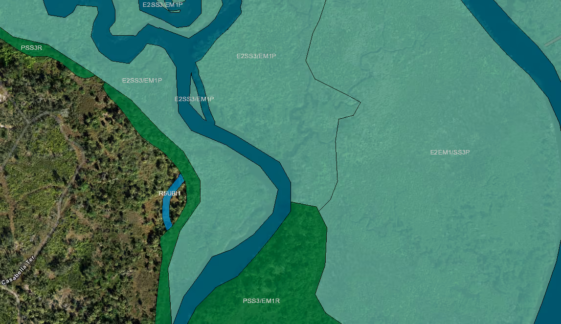 Florida wetlands land buying - NWI mapper screenshot showing wetland delineation on rural Florida parcel