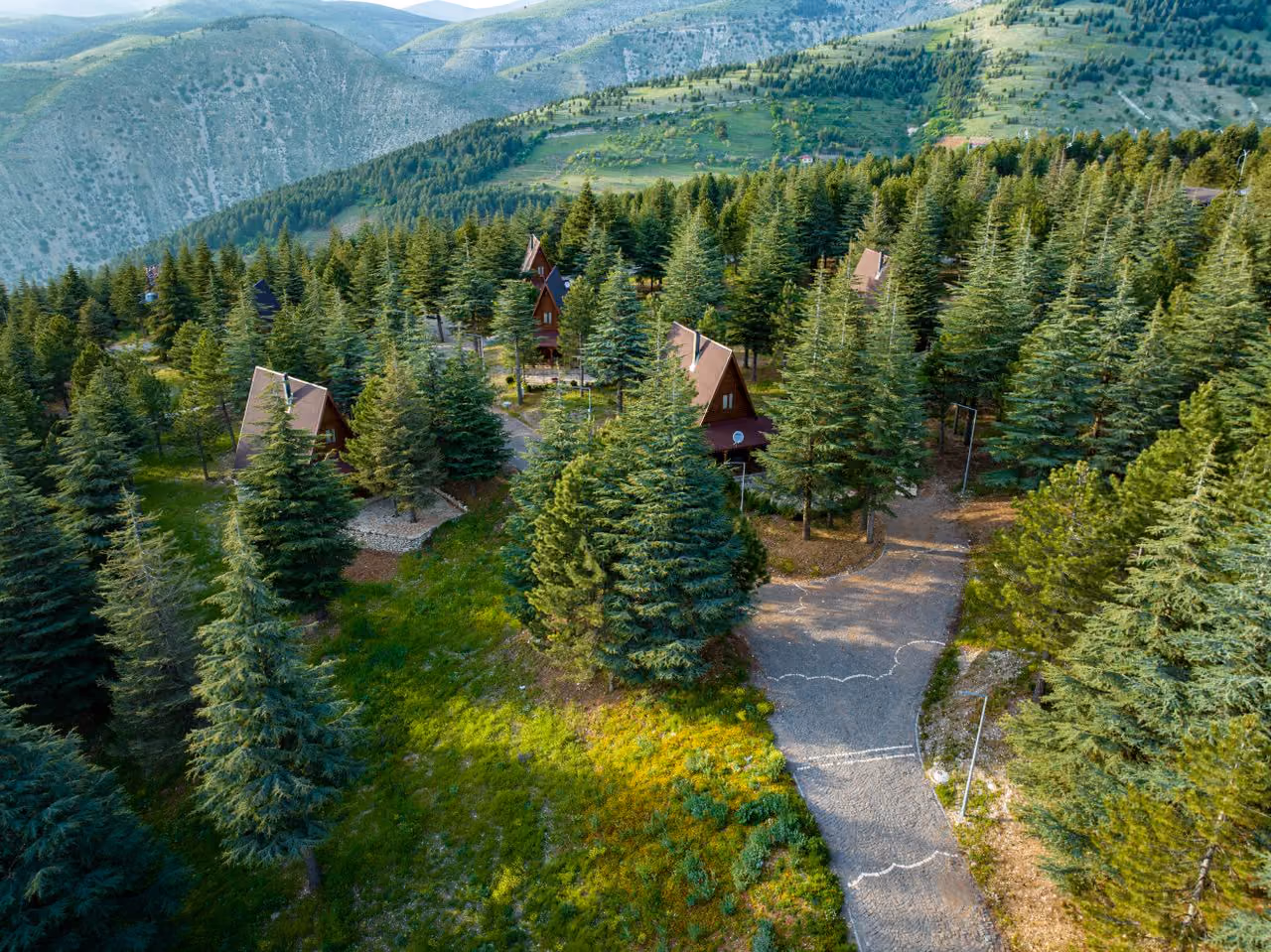 vacant land for sale for cabin — rural acreage with road access suitable for a small cabin build