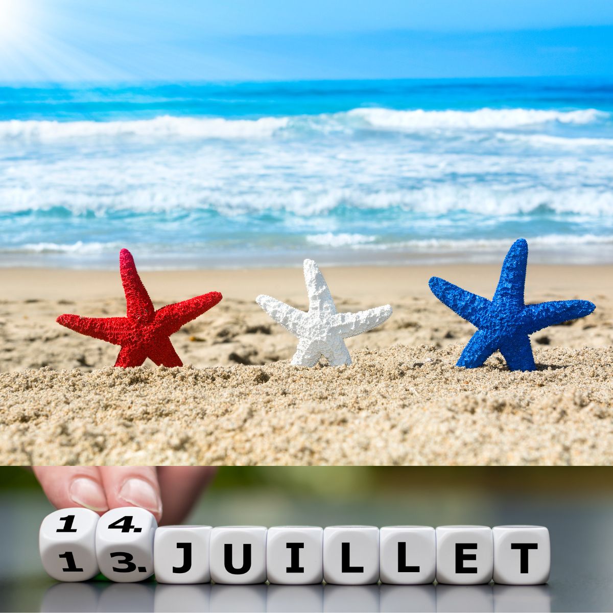 Étoiles de mer sur une plage et calendrier du mois de juillet