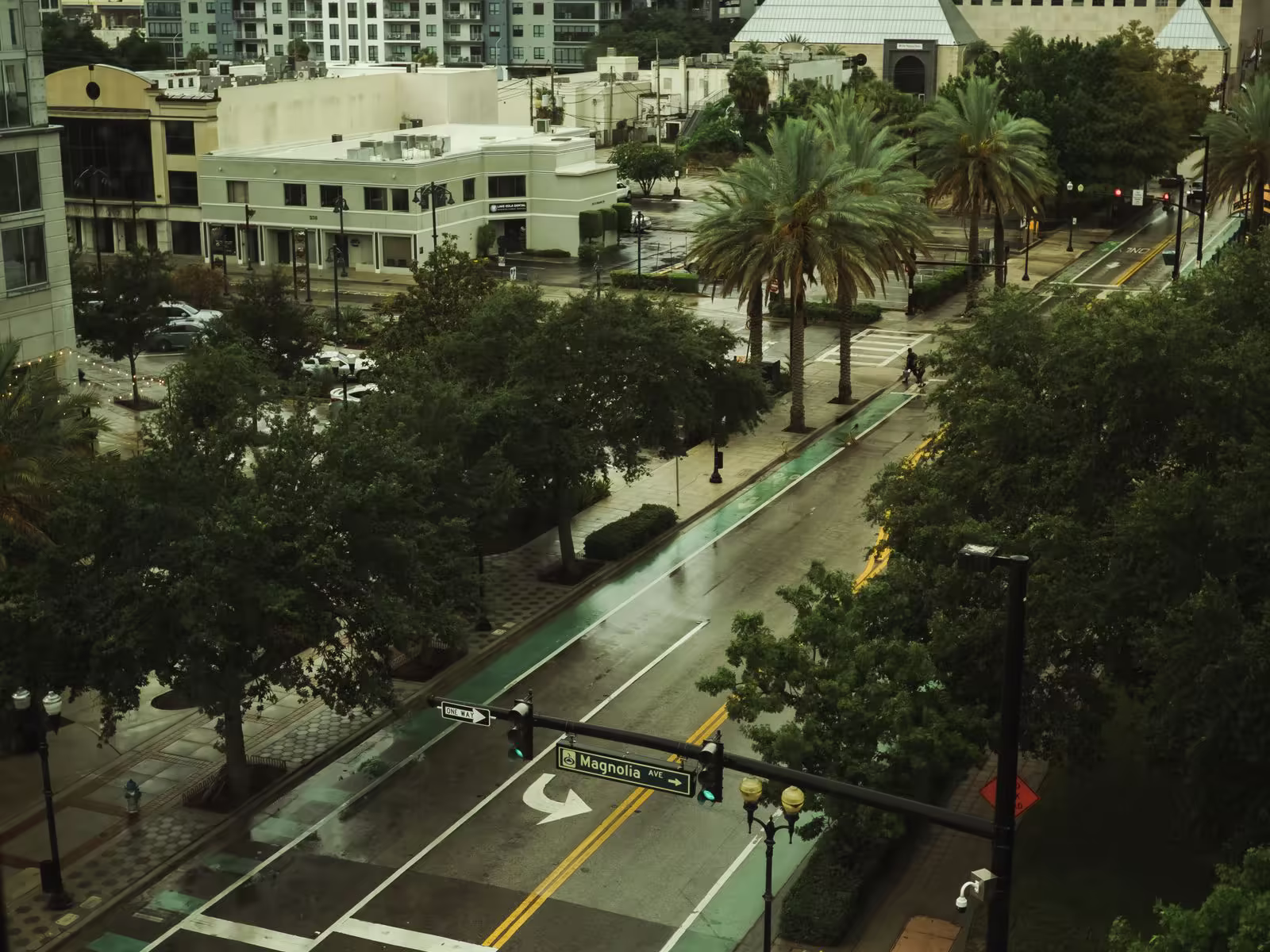 How Much Does Logo Design Cost in Orlando?