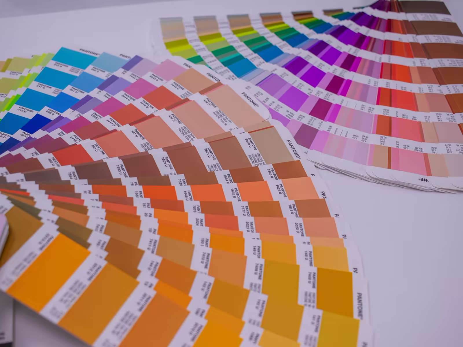 How Color Affects Your Business Logo Design