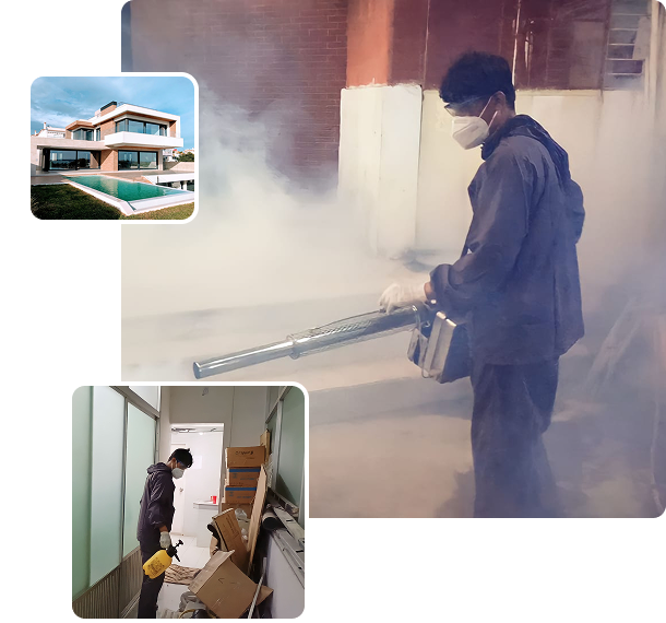 Person wearing a mask using a fogging machine to spray insecticide outside a building, with two inset images: one of a modern house with a pool, and another of a person spraying inside a room.