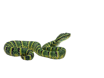 Snake Control