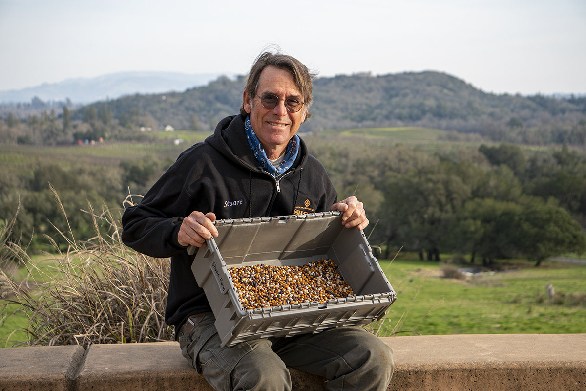 Shone Farm coordinator working in the field at SRJC agriculture program