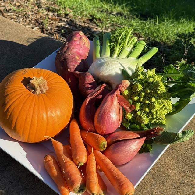 Artisan jam and flowers from SRJC Shone Farm stand