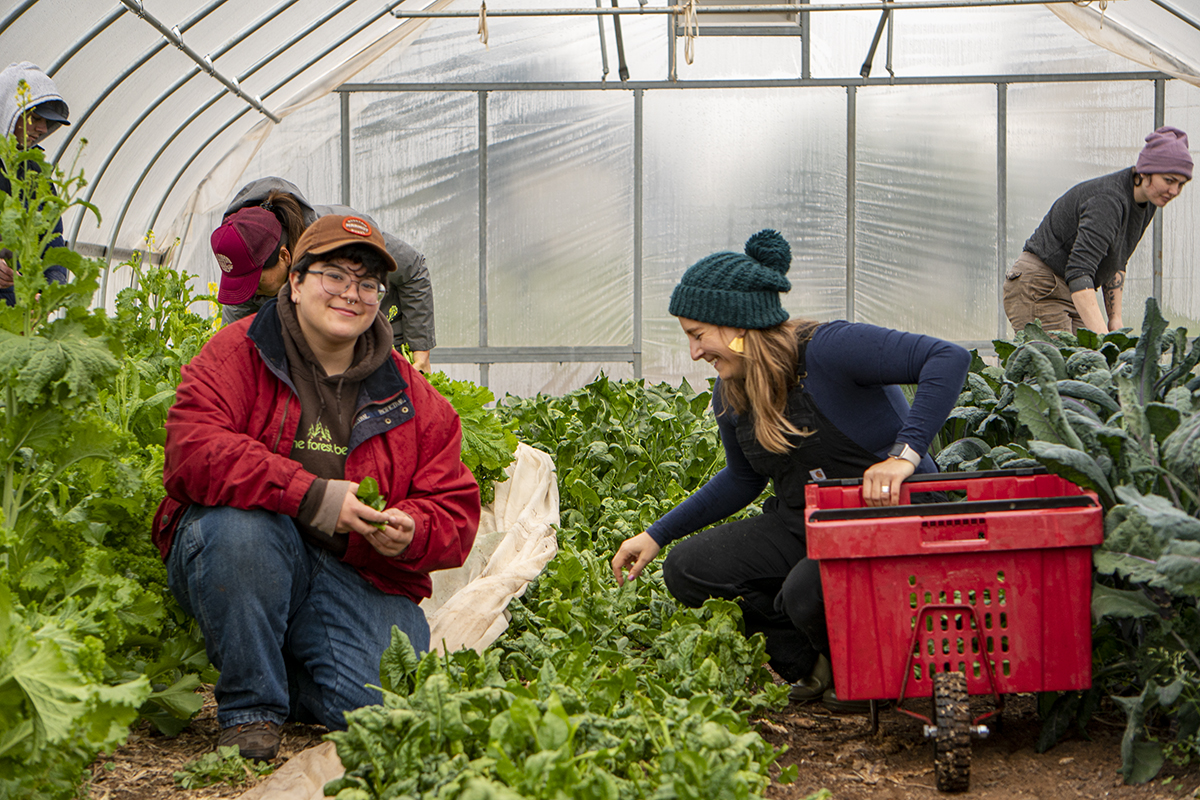 Group of SRJC agriculture students gathered in the Shone Farm produce field