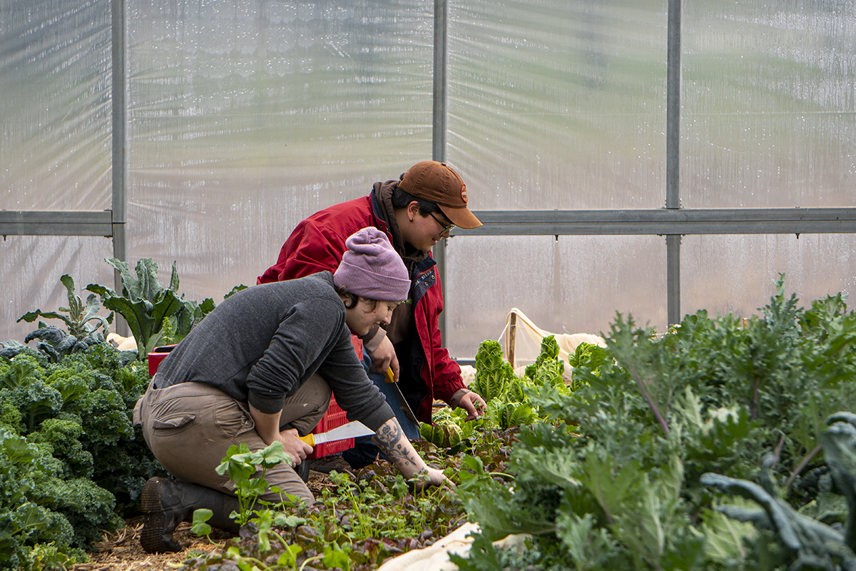 SRJC agriculture students learning sustainable farming practices in the field