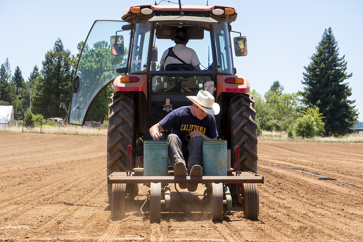 Student planting seedlings in the soil at Shone Farm community garden