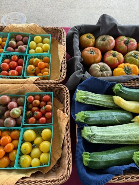 Fresh farm vegetables grown by SRJC agriculture students