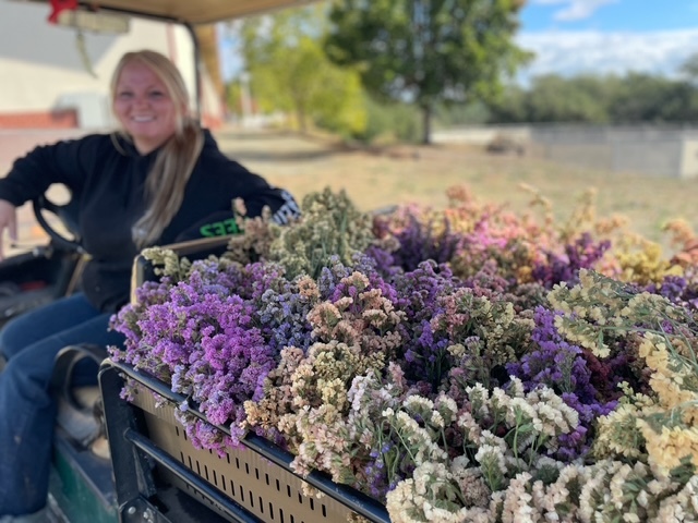 Sweet dumpling squash grown at SRJC Shone Farm for CSA shares
