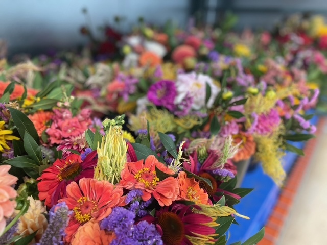 Freshly picked vegetables ready for CSA share boxes