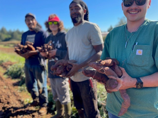 Student planting seedlings in the soil at Shone Farm community garden