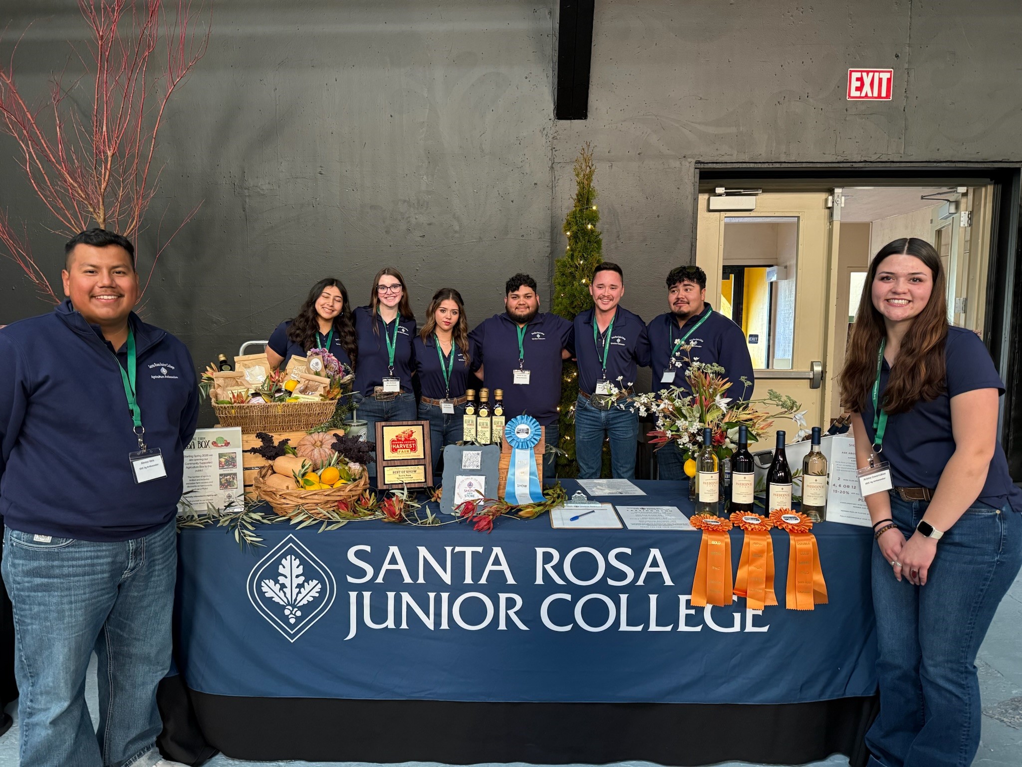 Fresh CSA produce box from Shone Farm filled with seasonal vegetables