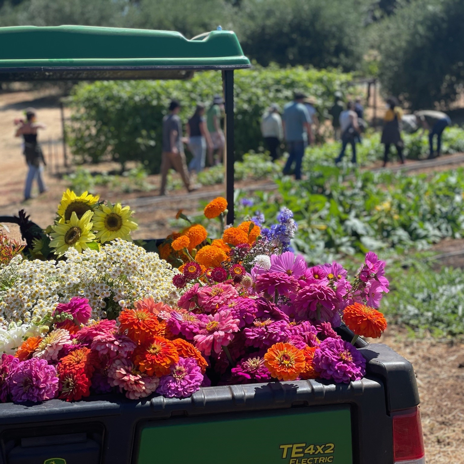 Shone Farm CSA pickup and delivery details