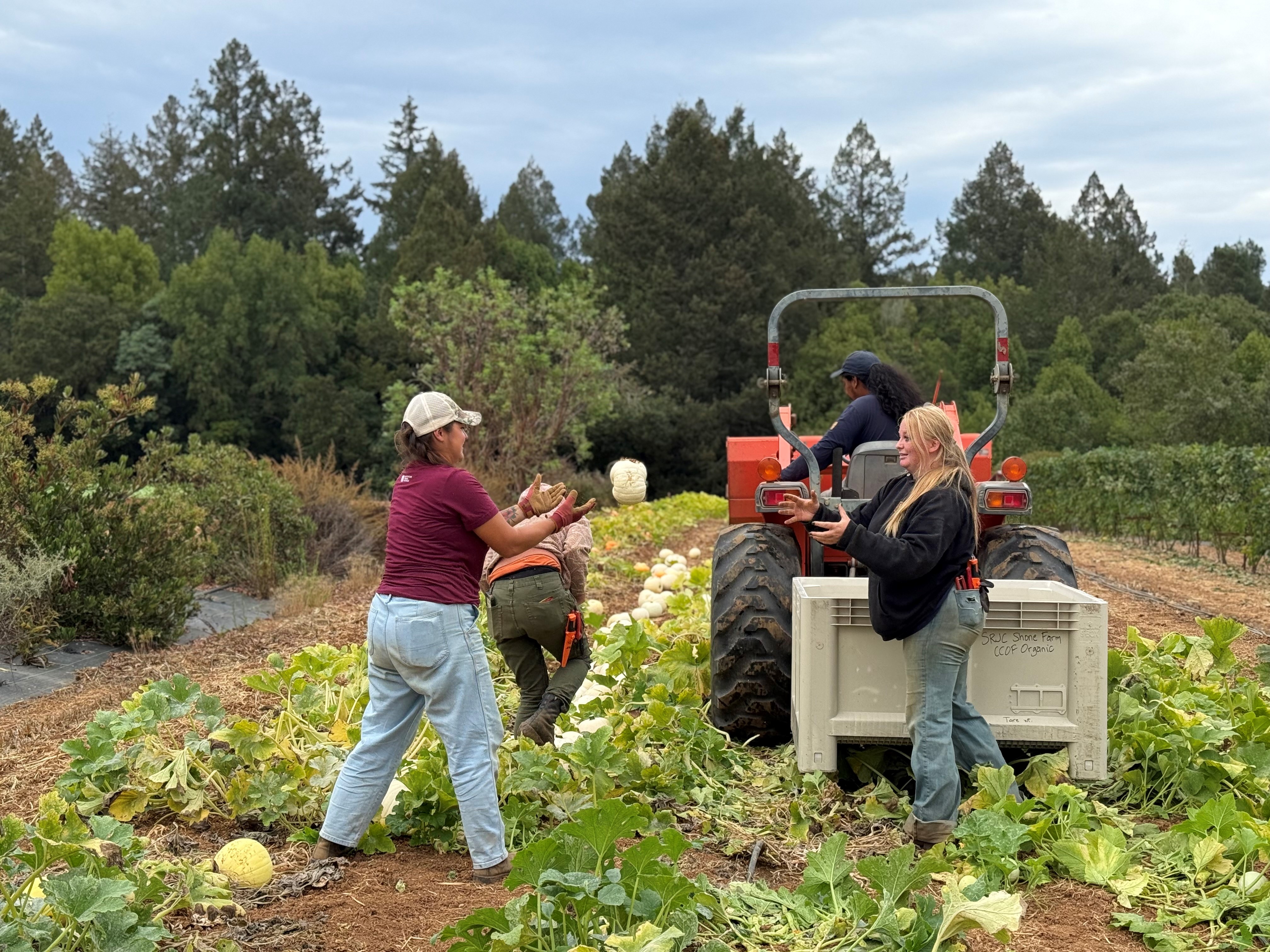 Shone Farm student interns Yesenia, Ariana, and Kaylynn posing together in the garden