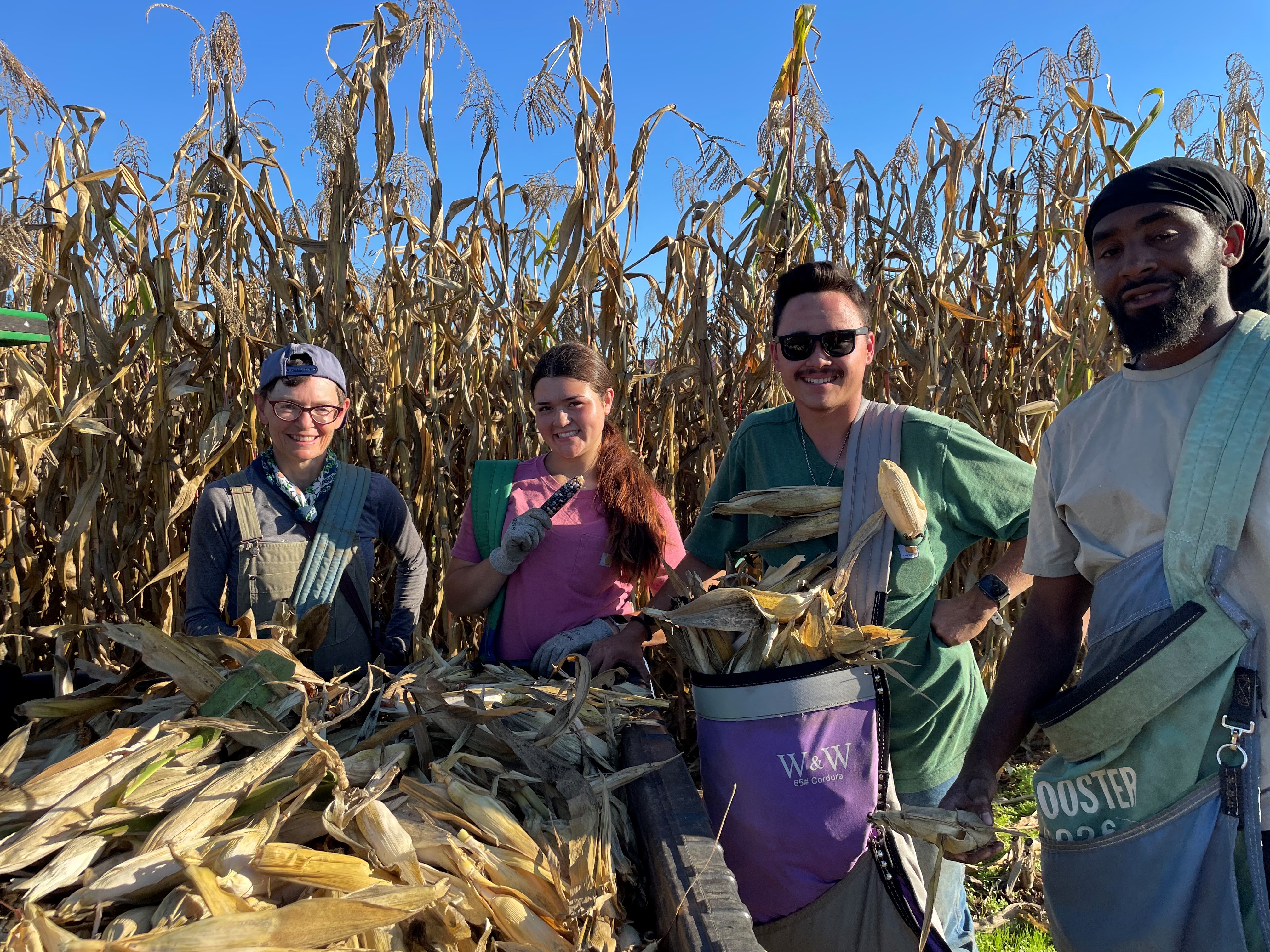 SRJC Shone Farm students learning hands-on agriculture skills in the field