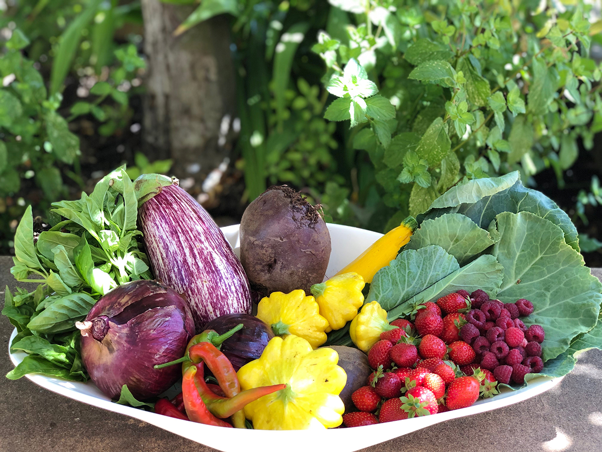 Example CSA share from Shone Farm in August