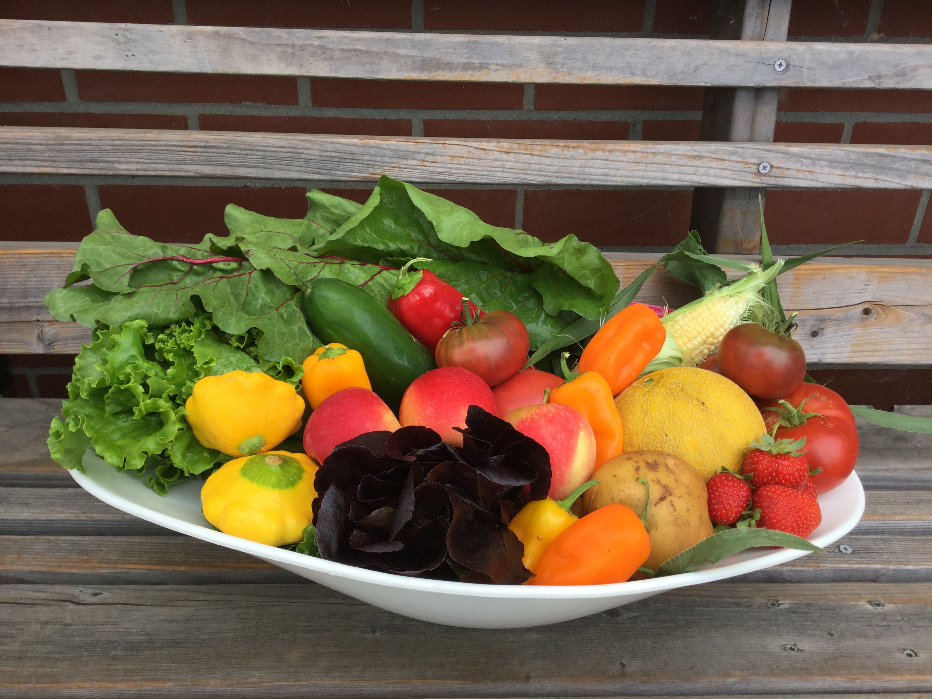 Example CSA share from Shone Farm