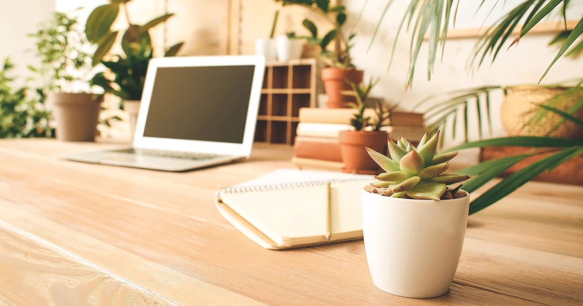 Plant Desk Neuroscience