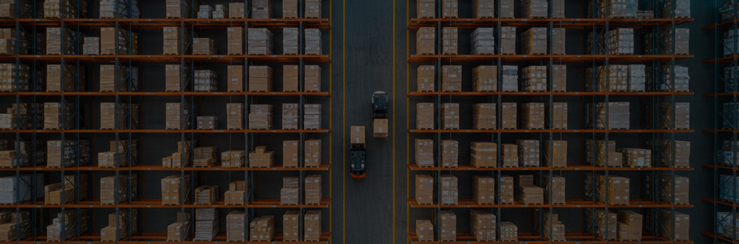 Warehouse Advantage WMS service banner - implementation of the Infios K.Motion WMS for managing warehouse processes