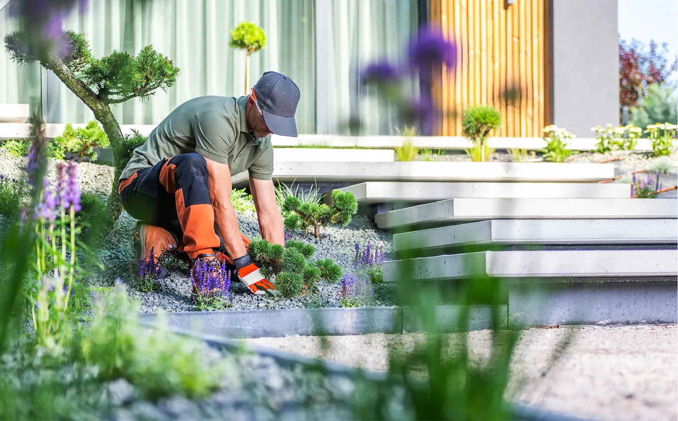 Eco-Friendly Practices