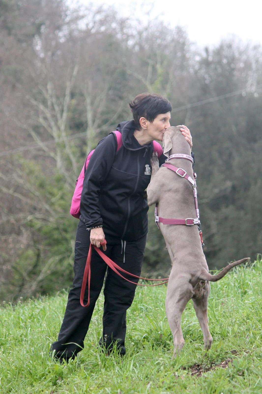 Person in black jacket and pants with pink backpack kissing a standing grey dog wearing a pink harness and leash on a grassy field.