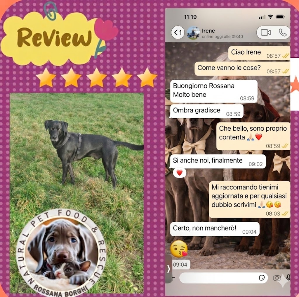 Five-star review with photo of black dog standing on grass and a WhatsApp conversation in Italian about the dog's wellbeing.
