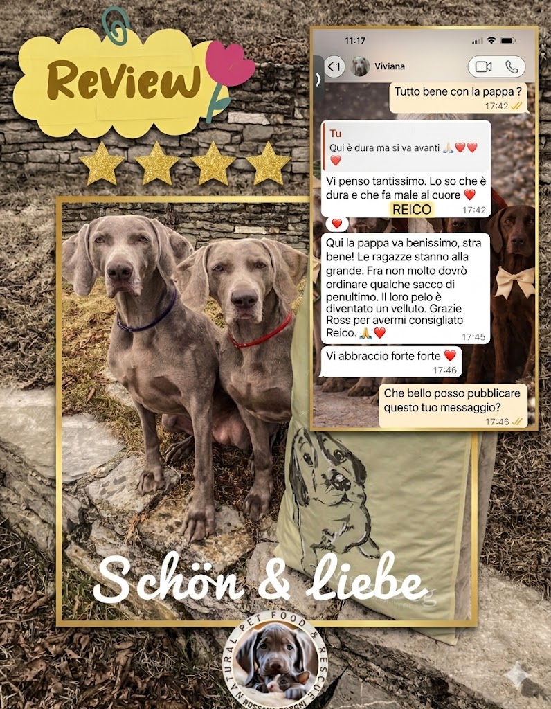 Two gray dogs sitting outdoors near a bag of dog food, overlaid with a 5-star review, a WhatsApp message conversation in Italian about dog food, and the text 'Schön & Liebe.'