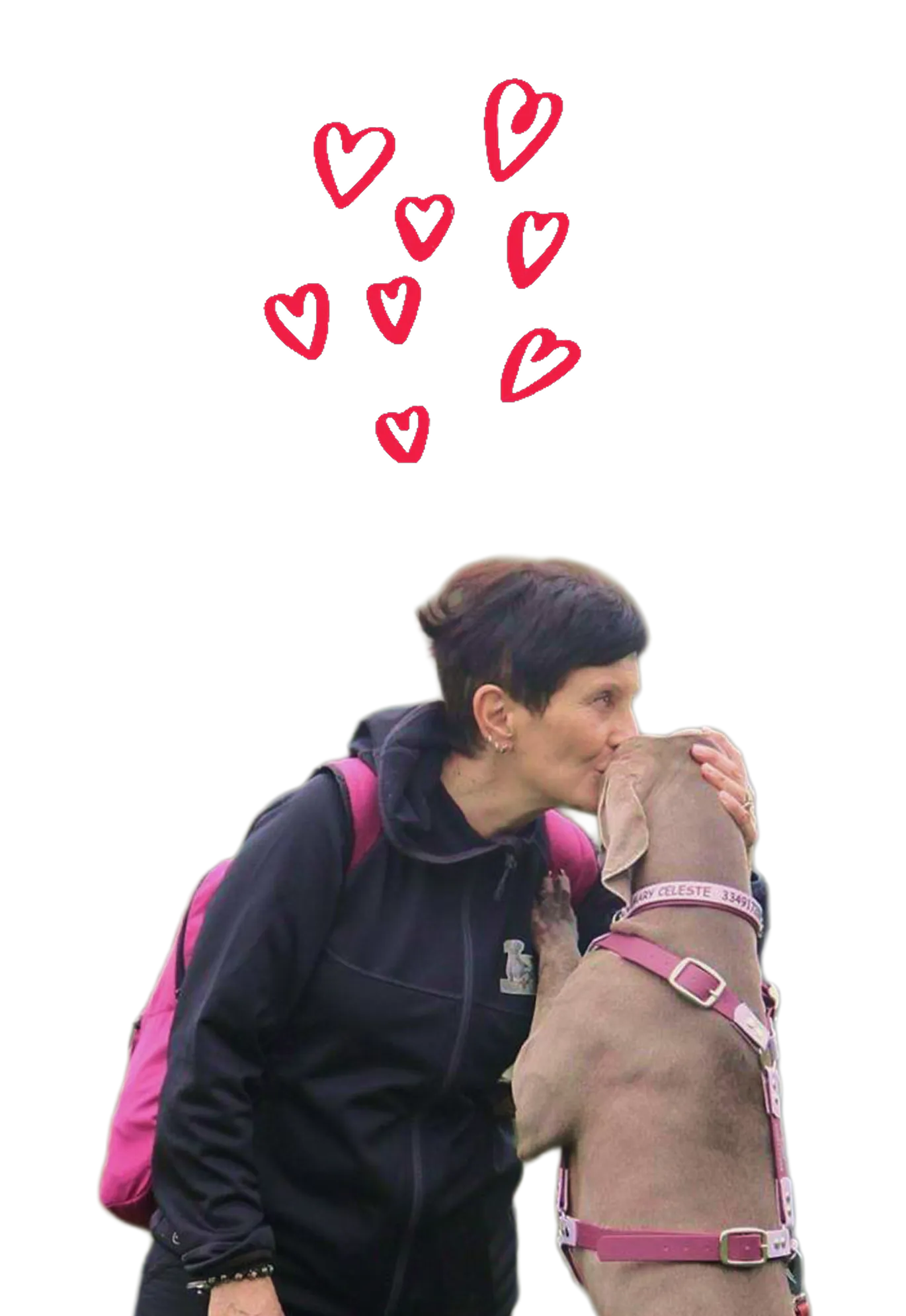 Person wearing a black jacket with a pink backpack kissing a dog with a pink harness and collar, with red hand-drawn hearts above them.