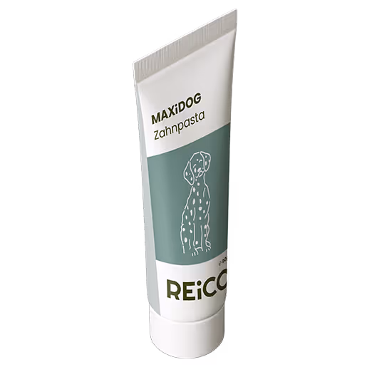Tube of MAXiDOG Zahnpasta dog toothpaste with a simple Dalmatian illustration on the label.